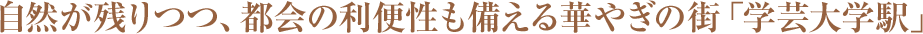 RcAs̗֐؂€̊Xuw|wwv